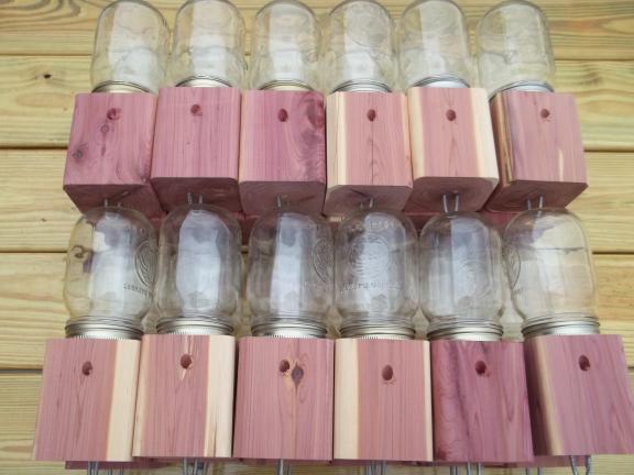 Carpenter bee trap from cedar wood for sale in Lewiston NY