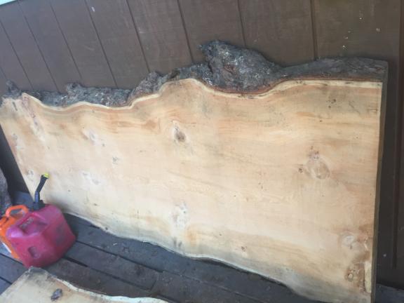 Larch slabs for sale in Thompson Falls MT