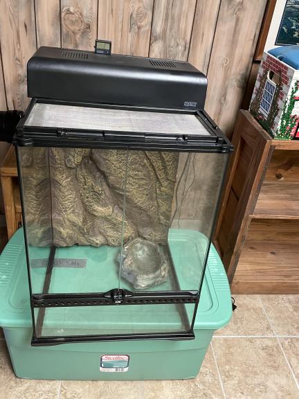 Lg glass enclosure (pet/reptile)
