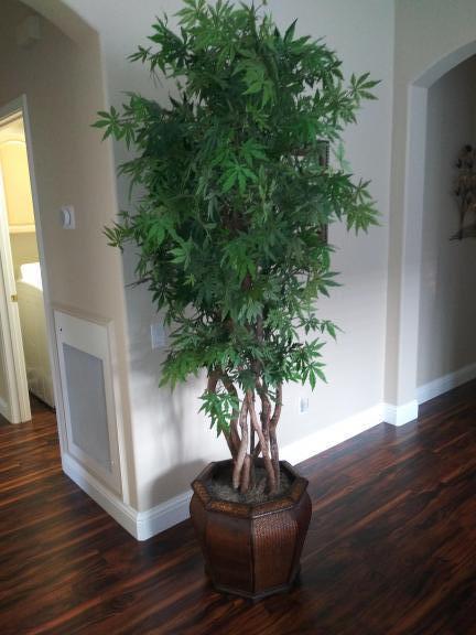 Artificial Japanese Maple for sale in Rocklin CA