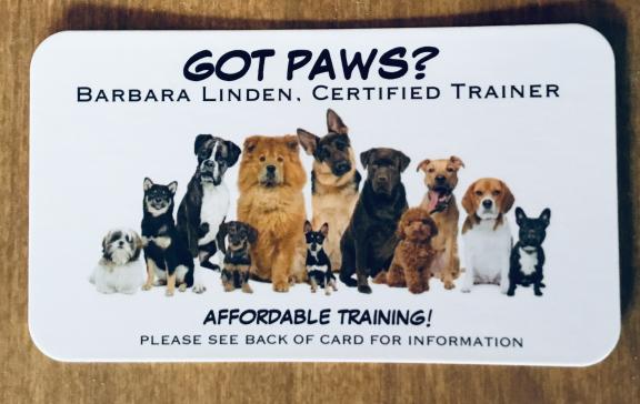 Affordable Private Lesson for Dog Training for sale in Thorntown IN