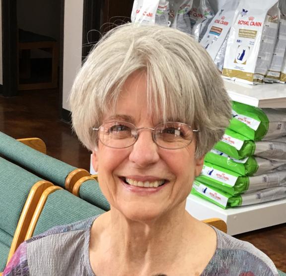 Affordable Private Lesson for Dog Training