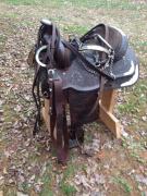 Circle Y show saddle for sale in Andreas, West Penn Township PA