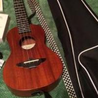 Aklot mahogany concert size ukulele & case for sale in Coudersport PA by Garage Sale Showcase member bluestar50, posted 04/17/2021