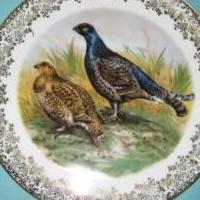 Decorative Collectors Plates for sale in Cape Coral FL by Garage Sale Showcase member akabu2, posted 03/14/2019