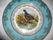Decorative Collectors Plates for sale in Cape Coral FL