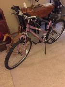 Girls Bike for sale in Maplewood MN