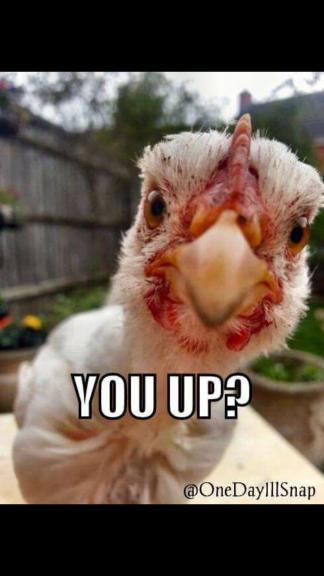 Garage sale in Kissimmee, Florida of Garage Sale Showcase Member Greeneyesblondie. 3 items currently listed for sale.