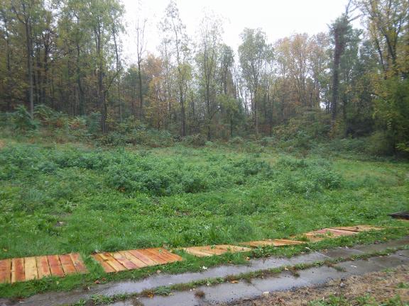 Residential Property for sale in Red Creek NY