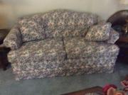 Sofa and loveseat for sale in Scotia NY