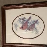 Cardinal picture for sale in Newport TN by Garage Sale Showcase member PMartin1246, posted 06/04/2019