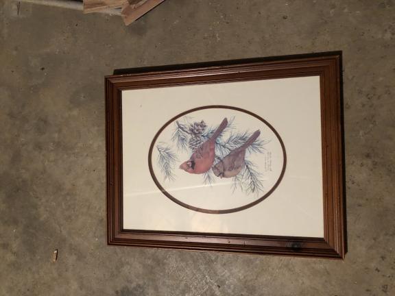 Cardinal picture for sale in Newport TN