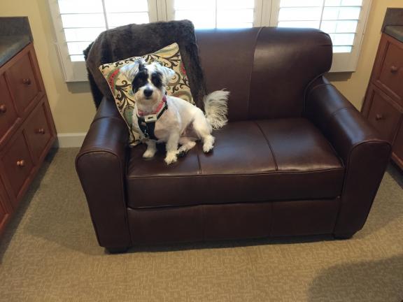 Garage sale in Pinehurst, North Carolina of Garage Sale Showcase Member 4barb7.