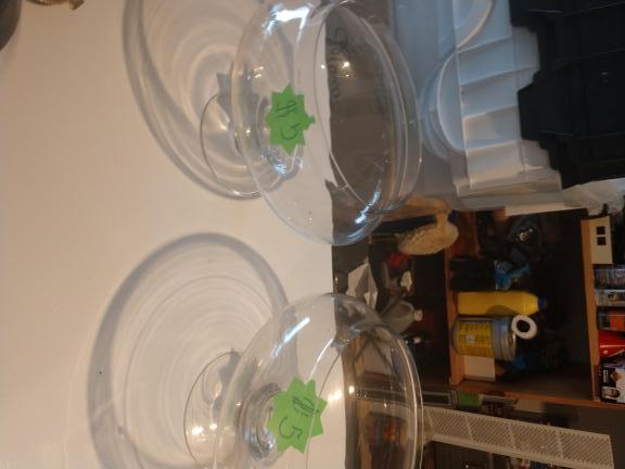 Glass bowls for sale in Inverness FL