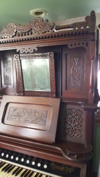 Organ for sale