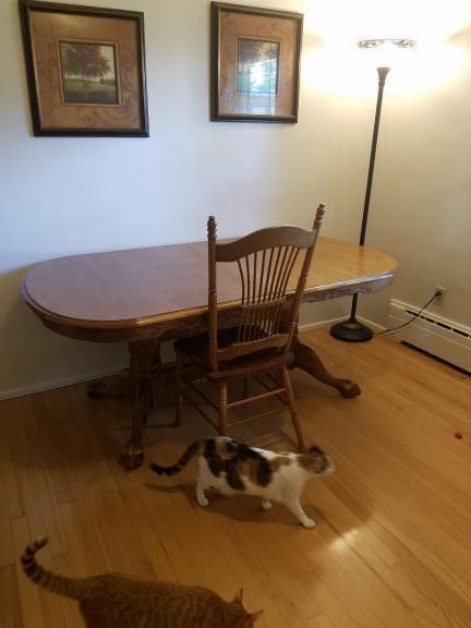 DINING ROOM TABLE AND CHAIRS for sale in Edwardsville IL