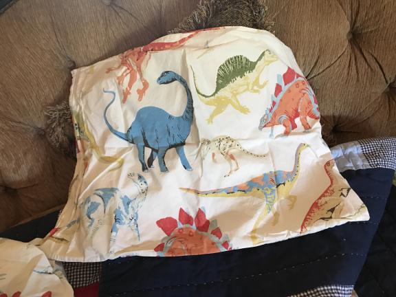 Dinosaur twin sheets for sale in Thibodaux LA