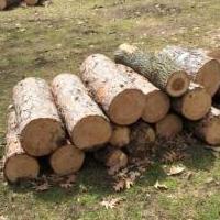 Wood, mostly pine for sale in Balsam Lake WI by Garage Sale Showcase member SallyRedding, posted 05/05/2019