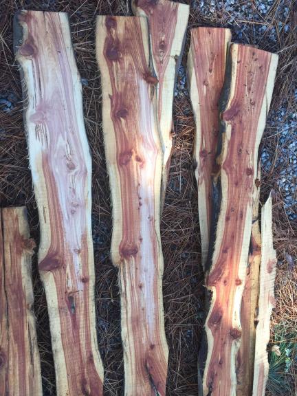 Larch slabs