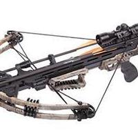 Centerpoint crossbow for sale in Waynesville GA by Garage Sale Showcase member Justin_36, posted 06/23/2019