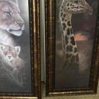Animal pictures for sale in Lubbock TX by Garage Sale Showcase member fish12, posted 06/02/2019