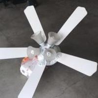 Ceiling Fans for sale in Granite City IL by Garage Sale Showcase member Meetthewilliams, posted 06/01/2019