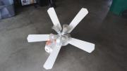 Ceiling Fans for sale in Granite City IL