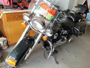 1995 Harley Davidson Softail for sale in Carey OH
