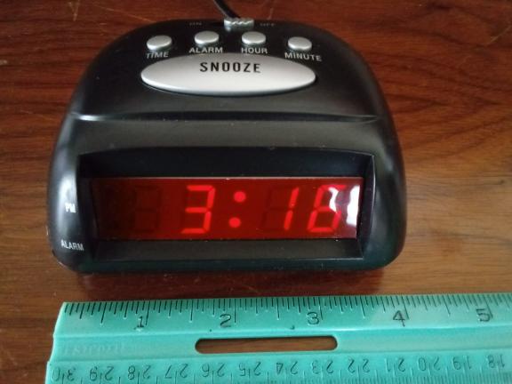 Karen Appleman for sale in Albion NY