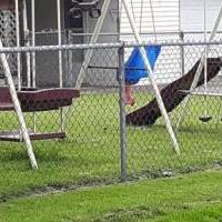 Large swingset for sale in Bucyrus OH by Garage Sale Showcase member Zornesmd58, posted 06/27/2019
