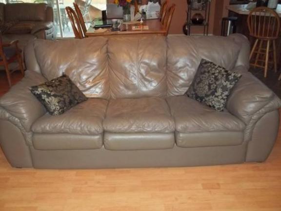 Sleeper Sofa for sale in Spring Hill FL