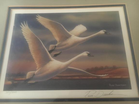 Wildlife prints
