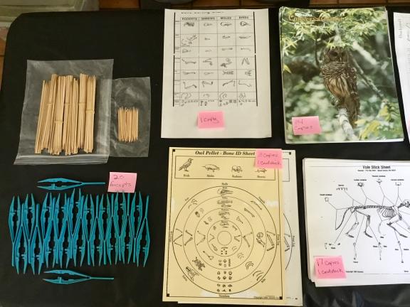 Owl Pellet educational activity
