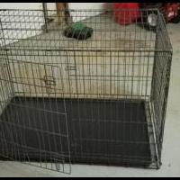 Dog Cage for sale in Middletown NY by Garage Sale Showcase member Moving430, posted 06/10/2020