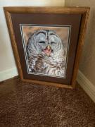 Winking Owl Photograph for sale in Naples FL