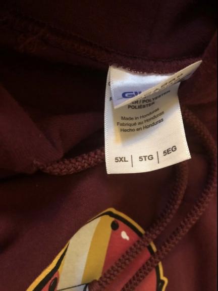 Championship Hoodie