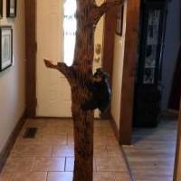 Wood tree coat rack for sale in Newport TN by Garage Sale Showcase member Pmartin46, posted 09/03/2019