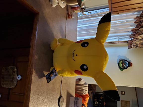Pokemon pikachu for sale in Corryton TN