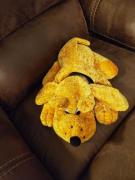 Cuddly hound for sale in Corryton TN