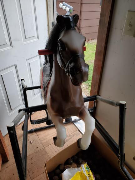 Spring riding horse for sale in Corryton TN