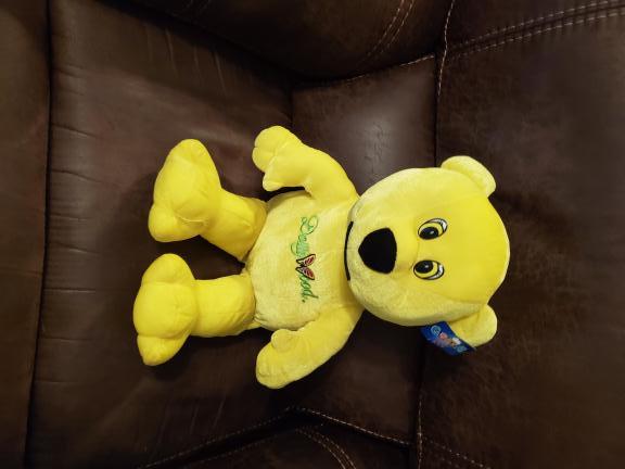 Dollywood bear for sale in Corryton TN