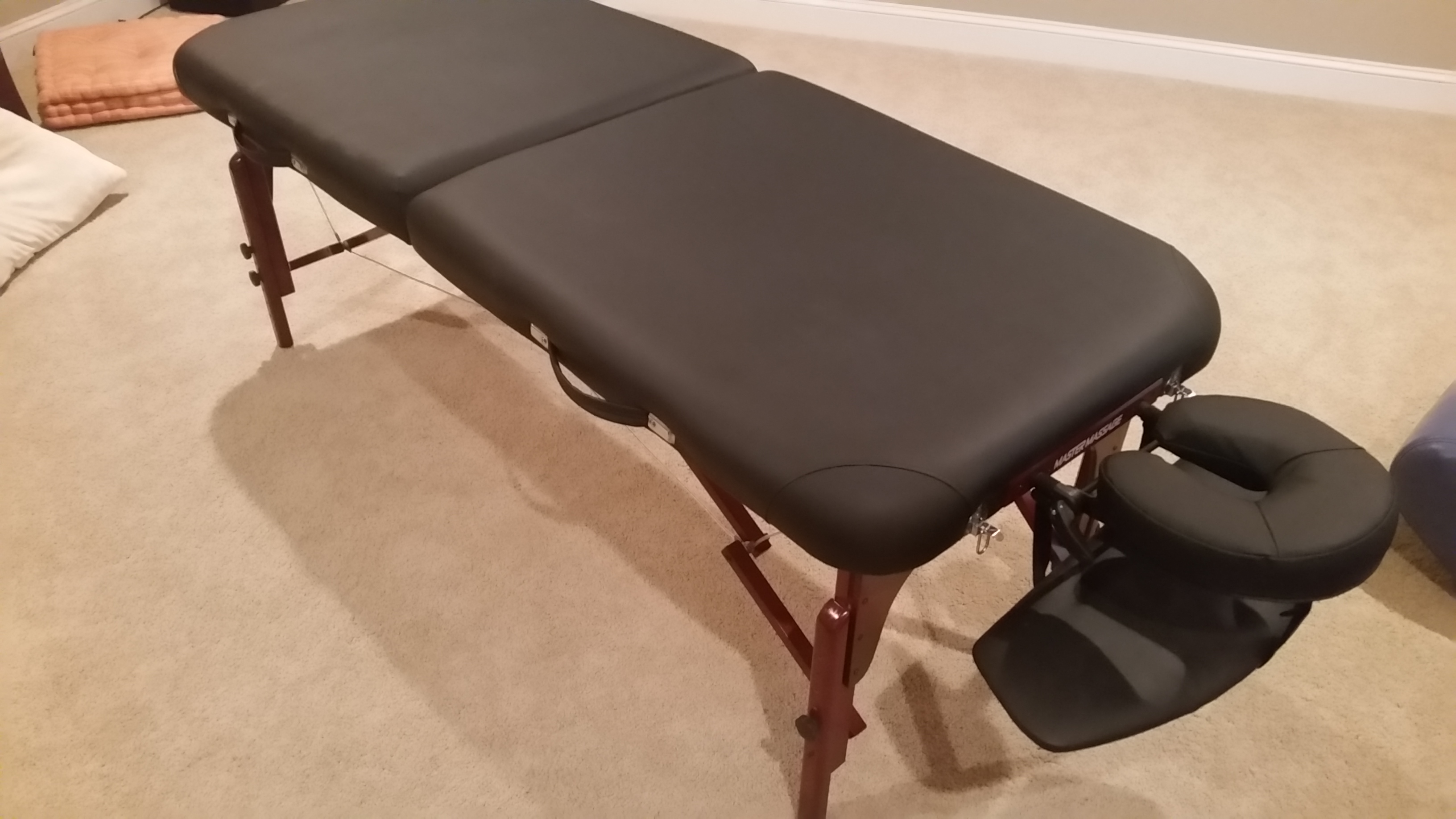 Professional Massage Table for sale in Smyrna GA