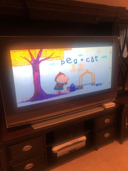 Sony Television for sale in Fishers IN