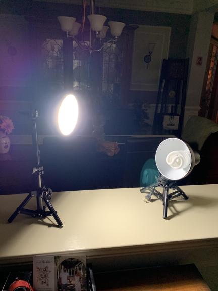 Pair of lights for sale in Bethlehem PA