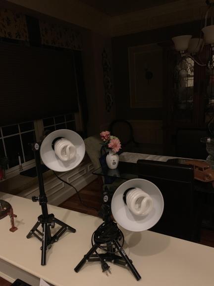 Pair of lights