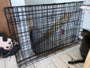 Dog kennel for sale in Castleton VT