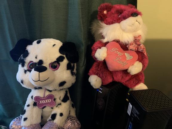Stuffed animals