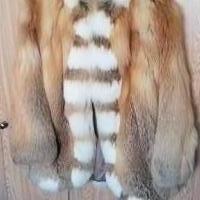 Red Fox Fur Coat for sale in Plains MT by Garage Sale Showcase member Dmrogers, posted 11/26/2019