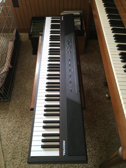 Alesis Recital 88 full size, semi weighted piano keyboard for sale in Russell PA