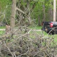In search of branch and twig removal for sale in Utica NY by Garage Sale Showcase member LisaG54, posted 05/19/2020